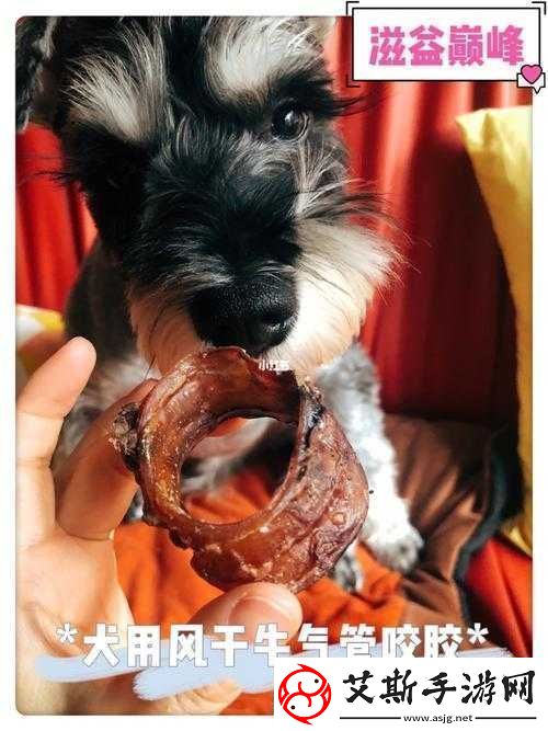 人狗膠配方大全狗狗使用