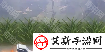 向僵尸開炮S2新地圖有哪些-S2賽季新增地圖場地效果一覽