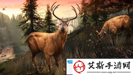 給他愛5PC增強版上架！首發(fā)半價71.25元