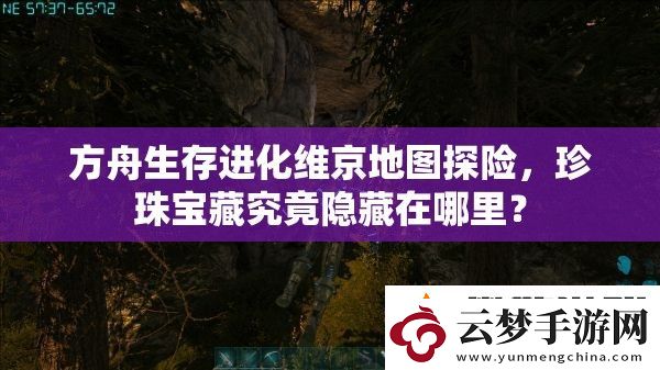方舟生存進化維京地圖探險